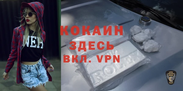 соль ск Каменка