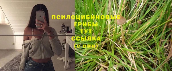 MDMA Premium VHQ Каменногорск