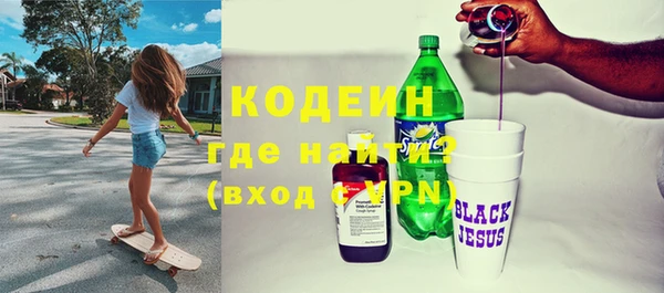 соль ск Каменка