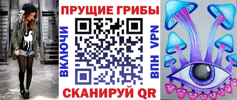 Купить где  Солнечногорск  Псилоцибиновые грибы Psilocybe 